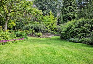 Optimiser l'expérience du jardin à Pouilly-sur-Vingeanne